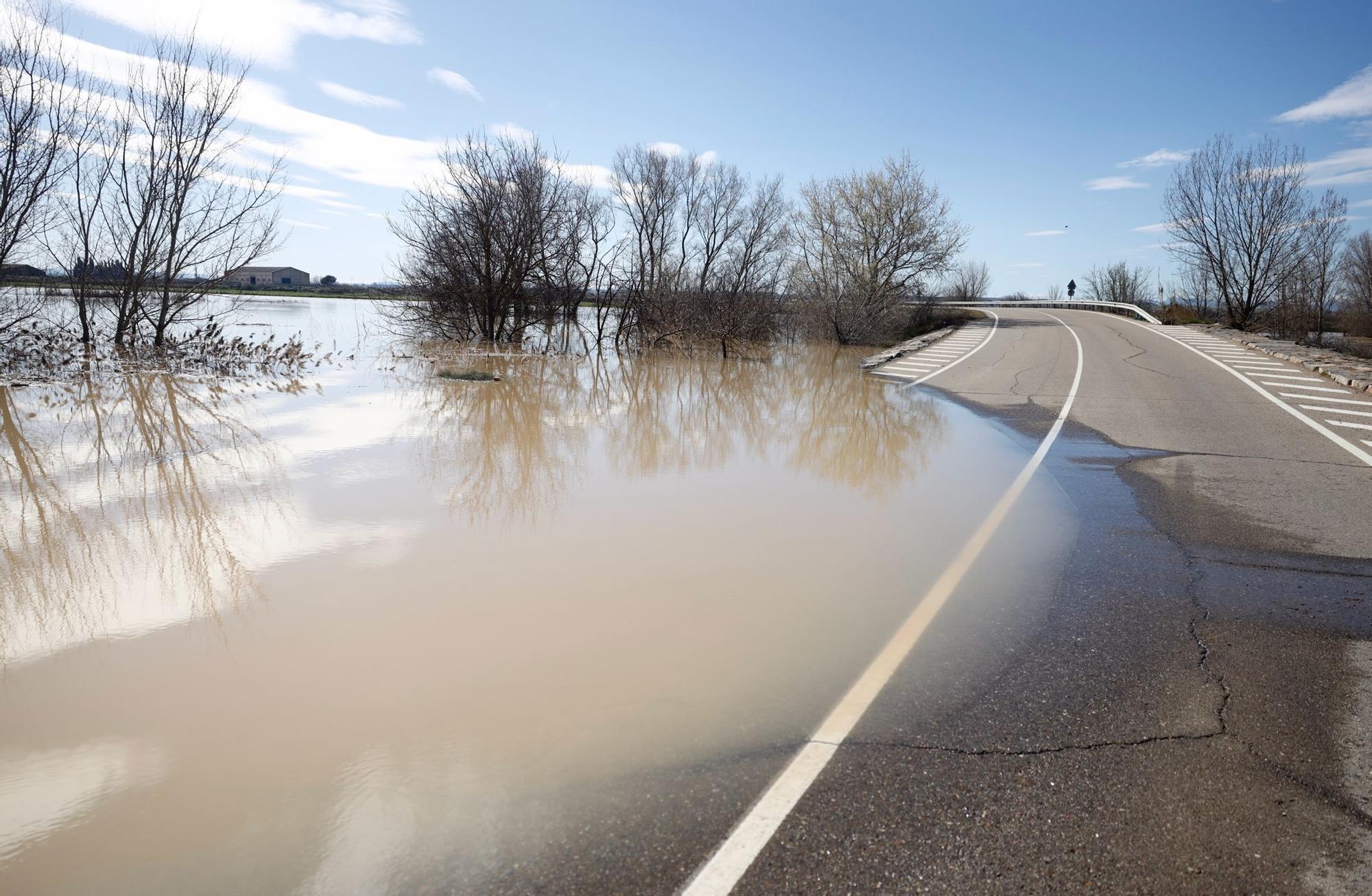 En imágenes | Así transcurre la crecida del Ebro a su paso por Aragón