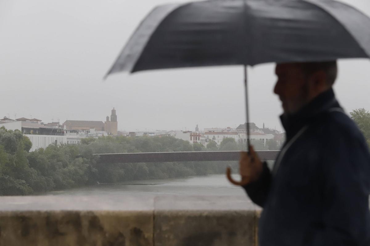 El temporal de lluvia y viento, en imágenes
