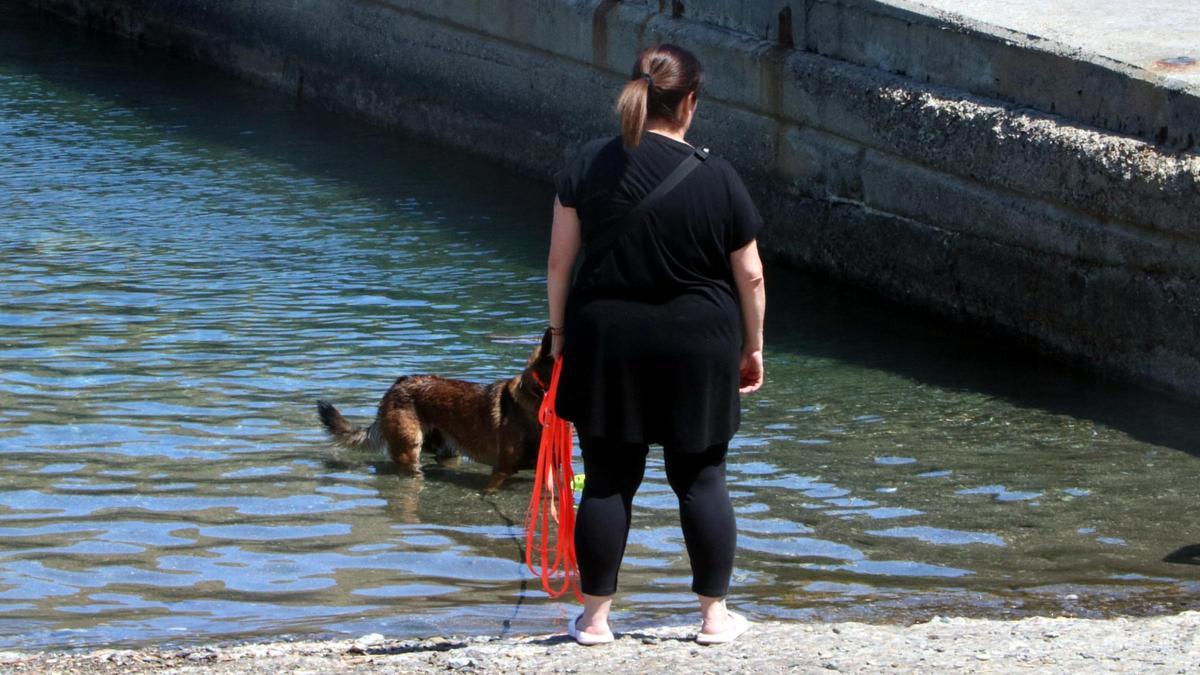 Una dona amb un gos refrescant-se per la calor, aquest dimecres a Portbou.