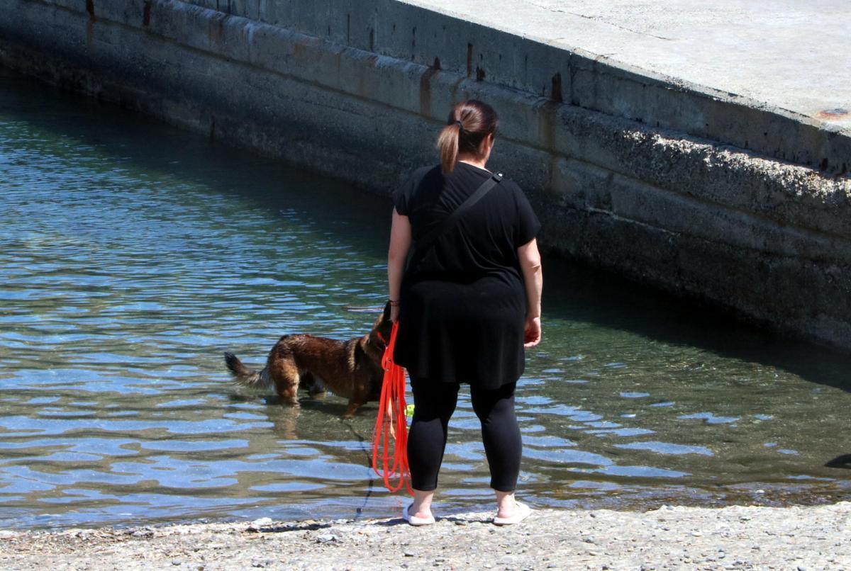 Una dona amb un gos refrescant-se per la calor.