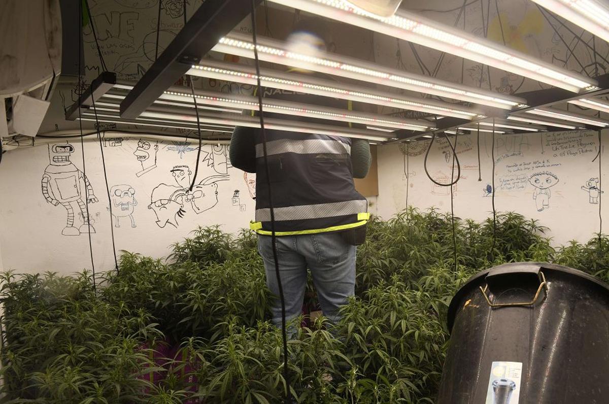 Las imágenes de la redada contra el narcotráfico en el Polígono de La Paz en Murcia Las imágenes de la redada contra el narcotráfico en el Polígono de La Paz en Murcia