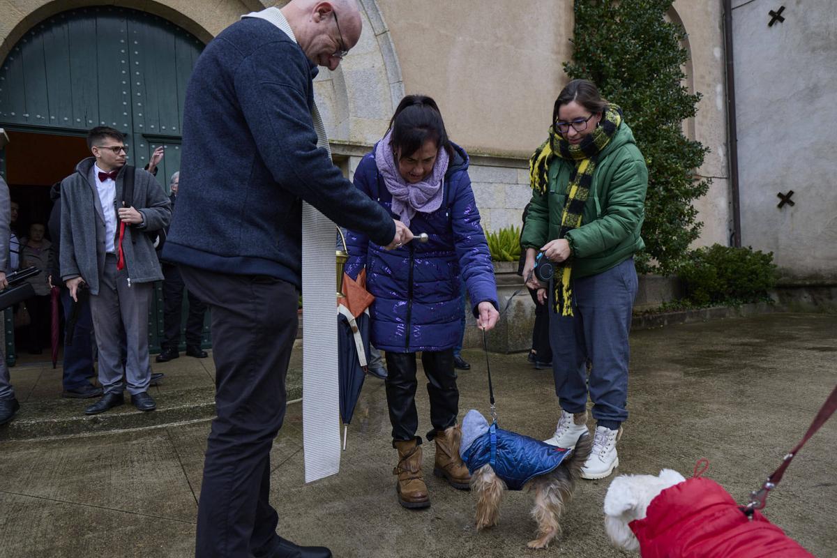 Les imatges de la celebració de Sant Antoni Abat a Girona
