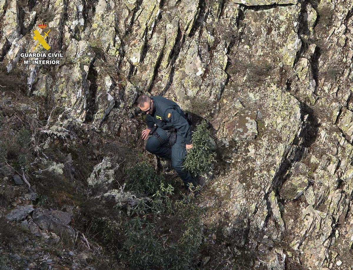 Galería | El Plan Infoex y Guardia Civil buscan al hombre desaparecido