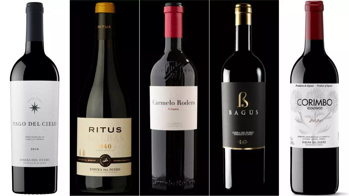 Los mejores vinos de Ribera del Duero para un enero delicioso