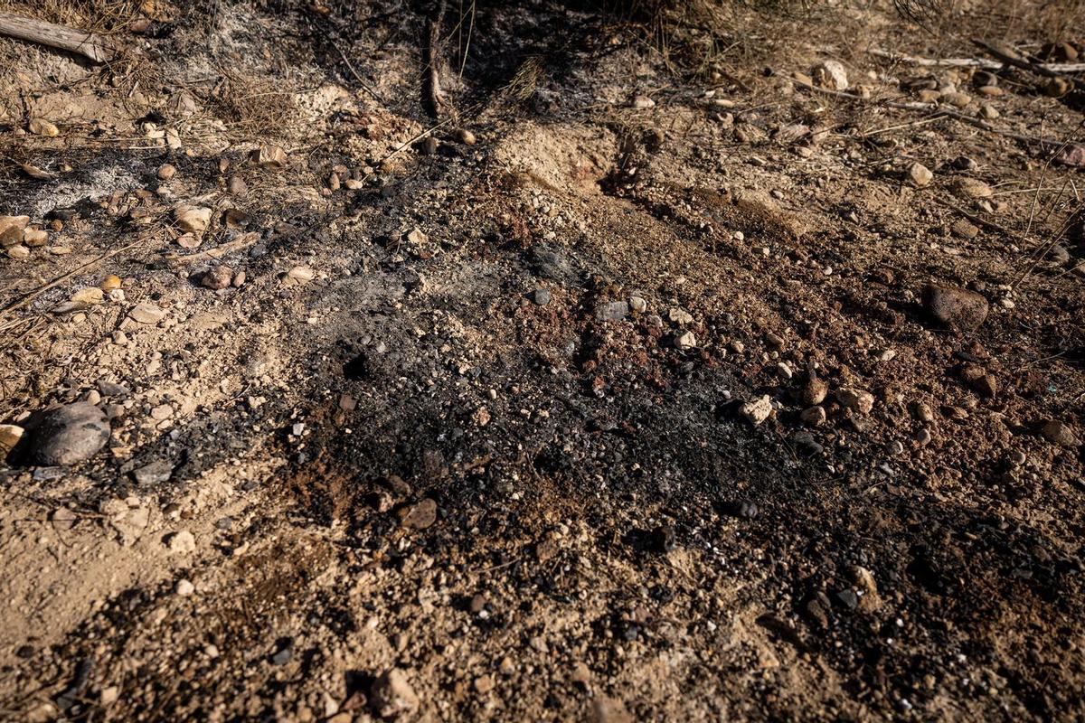 Restos del cadáver calcinado en Plasencia de Jalón