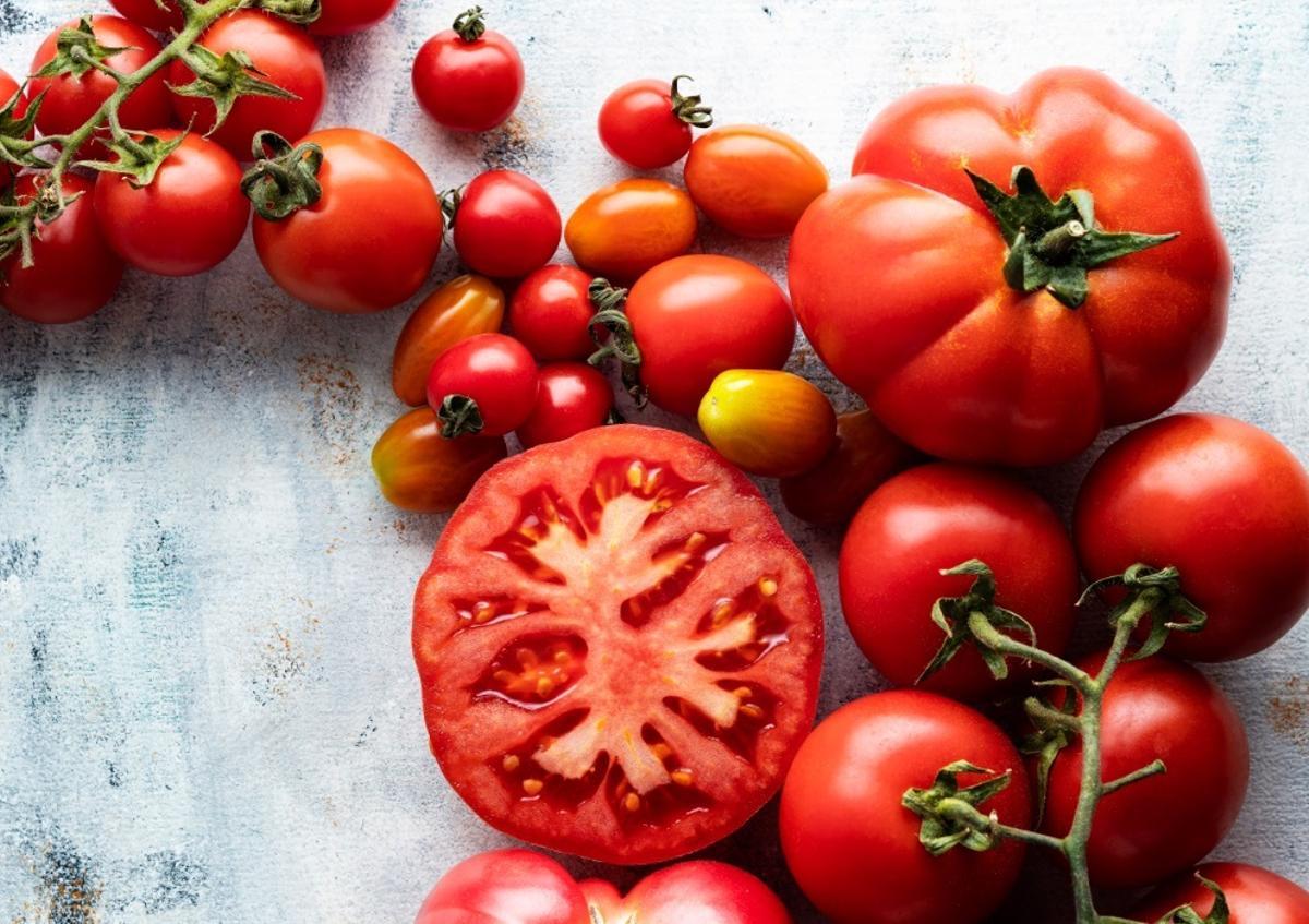 Economía.- Carrefour incrementa en un 11% la compra de tomate de origen español y exporta 5.200 toneladas en 2020