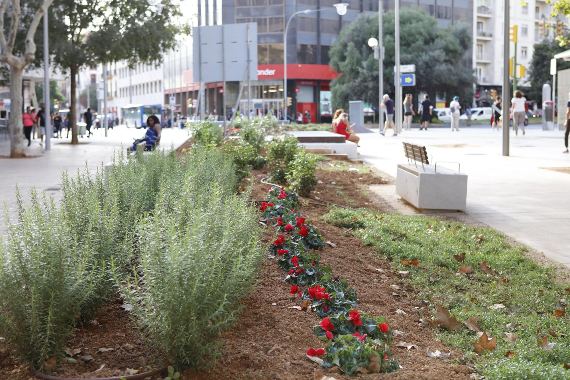 Vom Verkehrslärm zur Fußgängerzone: So sieht der Carrer Nuredduna in Palma de Mallorca jetzt aus