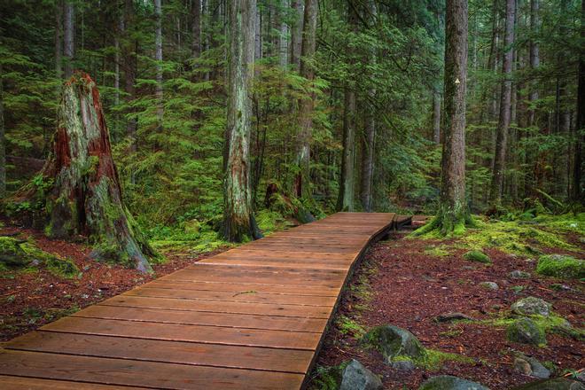 Incendios en canada Lynn Canyon Park