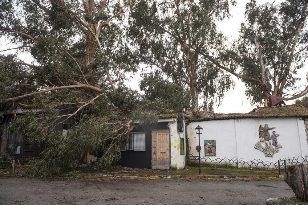 El temporal sacude Ourense