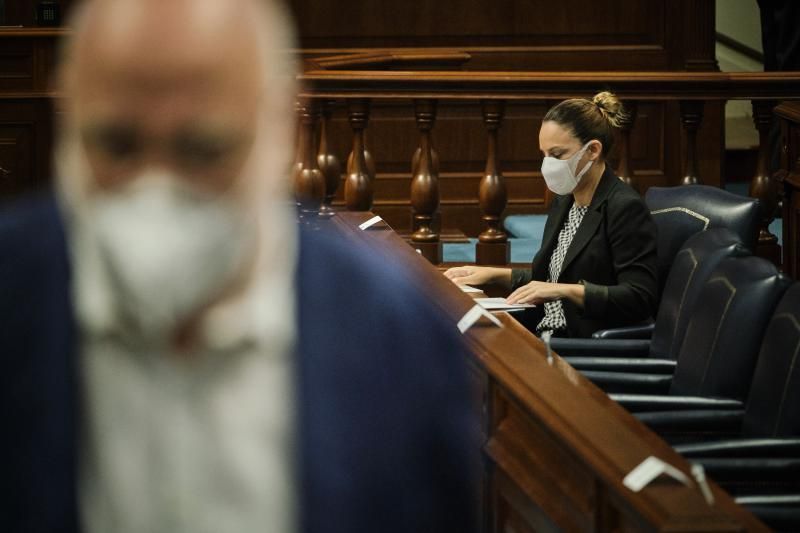 Pleno del Parlamento  | 20/05/2020 | Fotógrafo: Andrés Gutiérrez Taberne