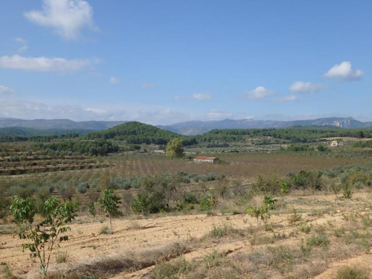 Vista de los llanos de la partida de Morredondo.