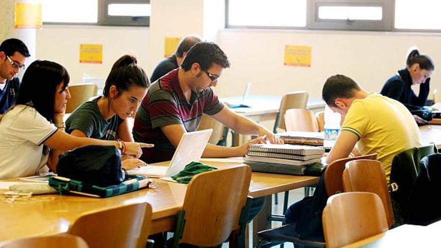 Estudiantes en la biblioteca central del campus de Elche, en imagen de archivo.