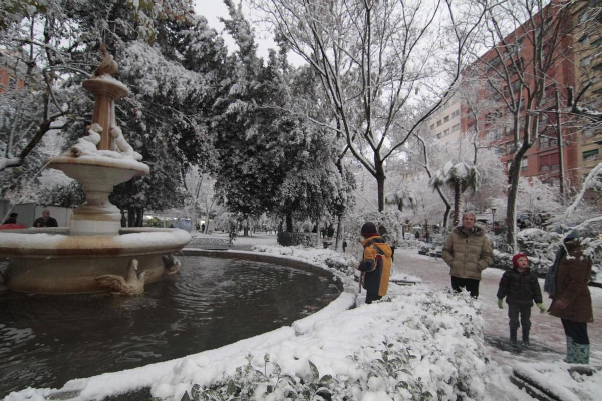 Así fue la nevada que tiñó Extremadura de blanco hace 15 años
