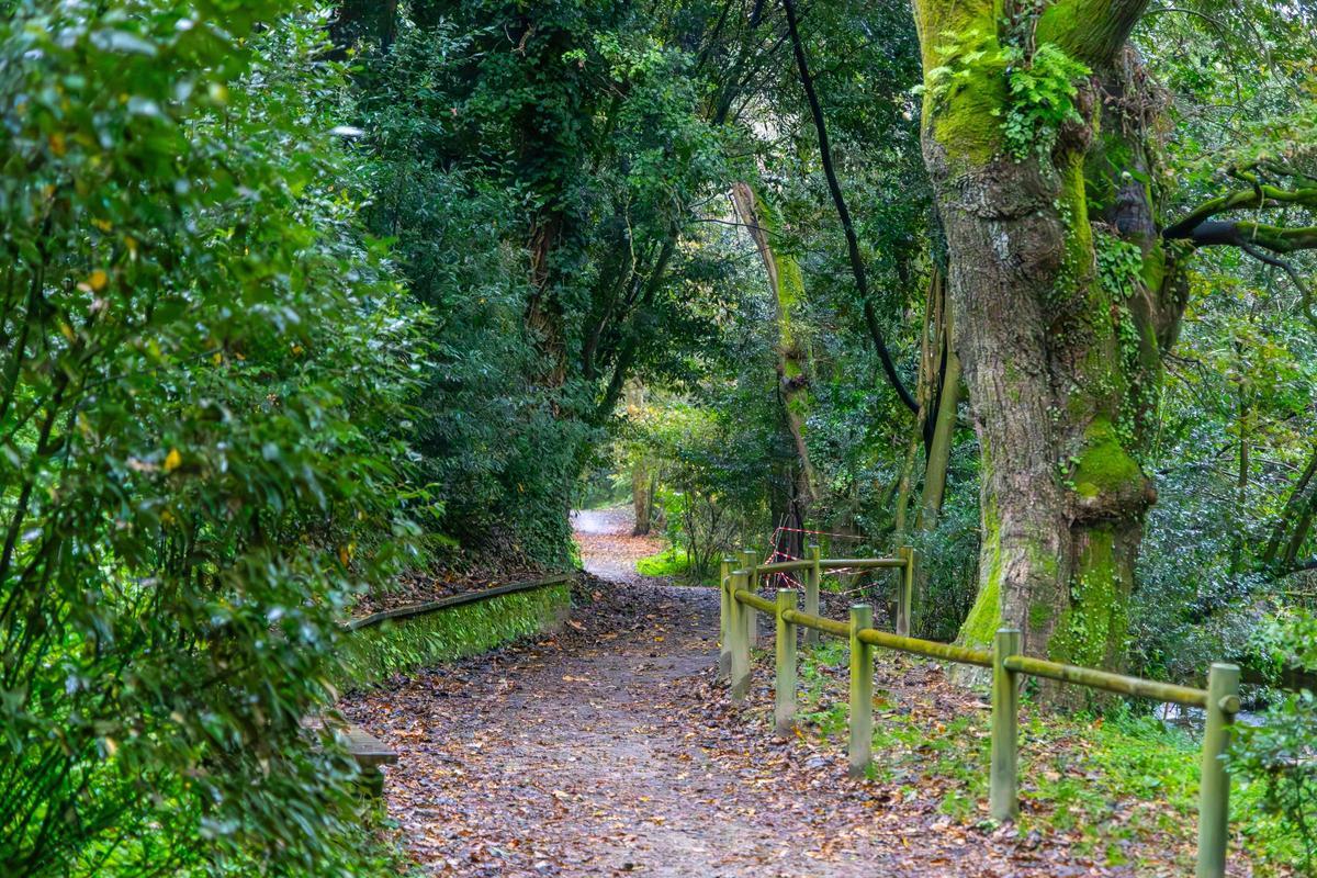 Tramo de la senda verde OMilladoiro-Santiago por el bosque de Conxo.