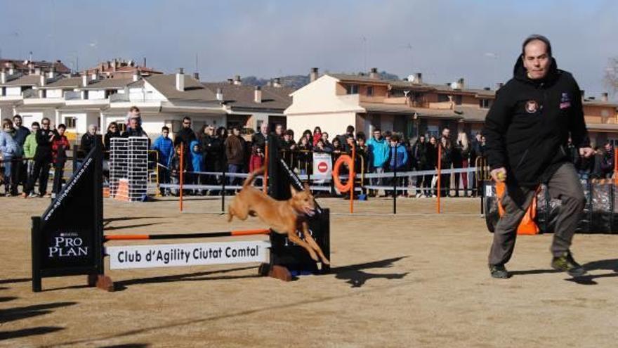 Un circuit d&#039;habilitats canines i una gimcana equina substitueixen les tradicionals curses