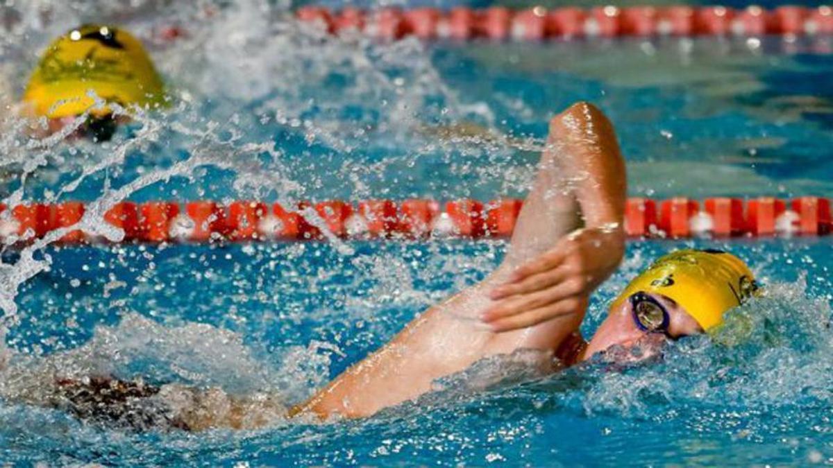 Imagen de archivo de una prueba de natación en la piscina municipal de es Viver.