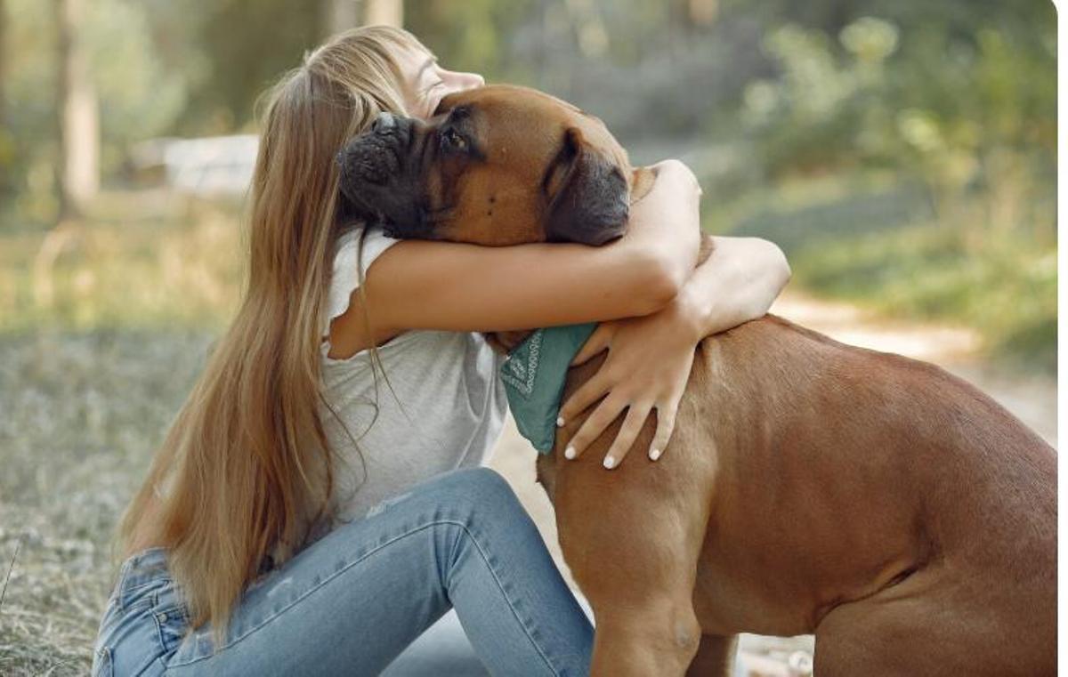 Què ens donen les mascotes?