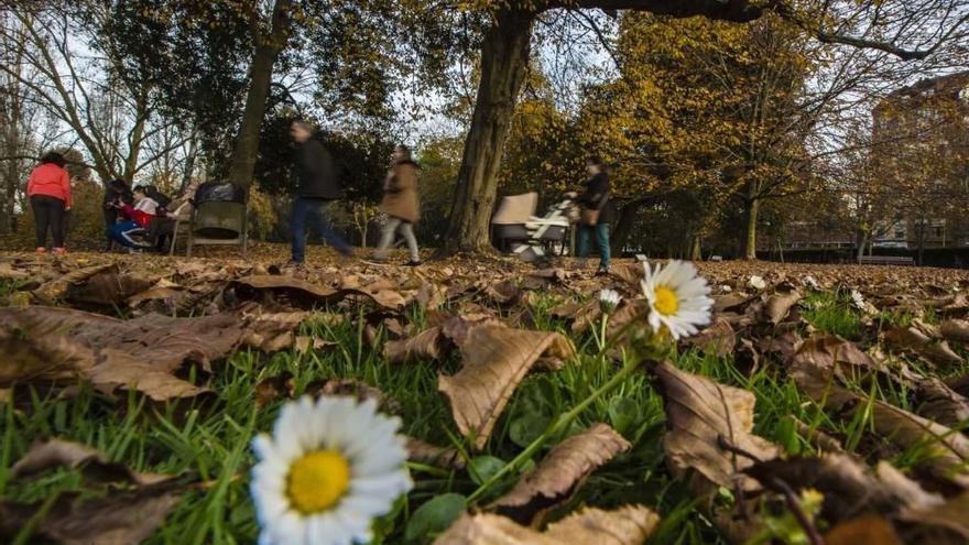 Las 100 fotos que demuestran que el otoño es la mejor época para conocer Asturias