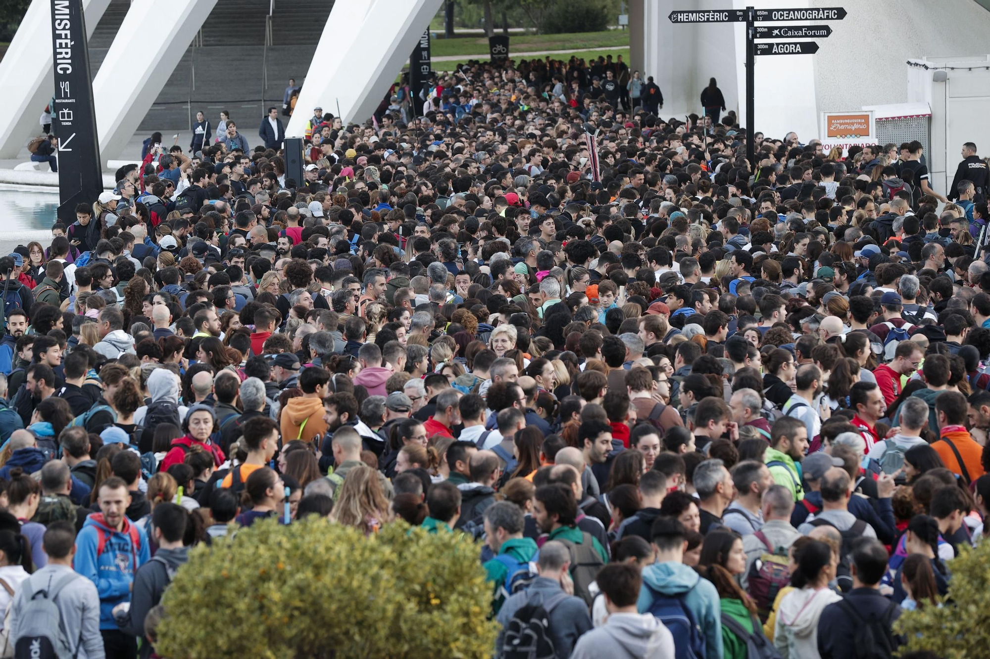 Miles de personas hacen cola en la Ciudad de las Artes y las Ciencias mientras voluntarios siguen acudiendo por su cuenta a la zona cero