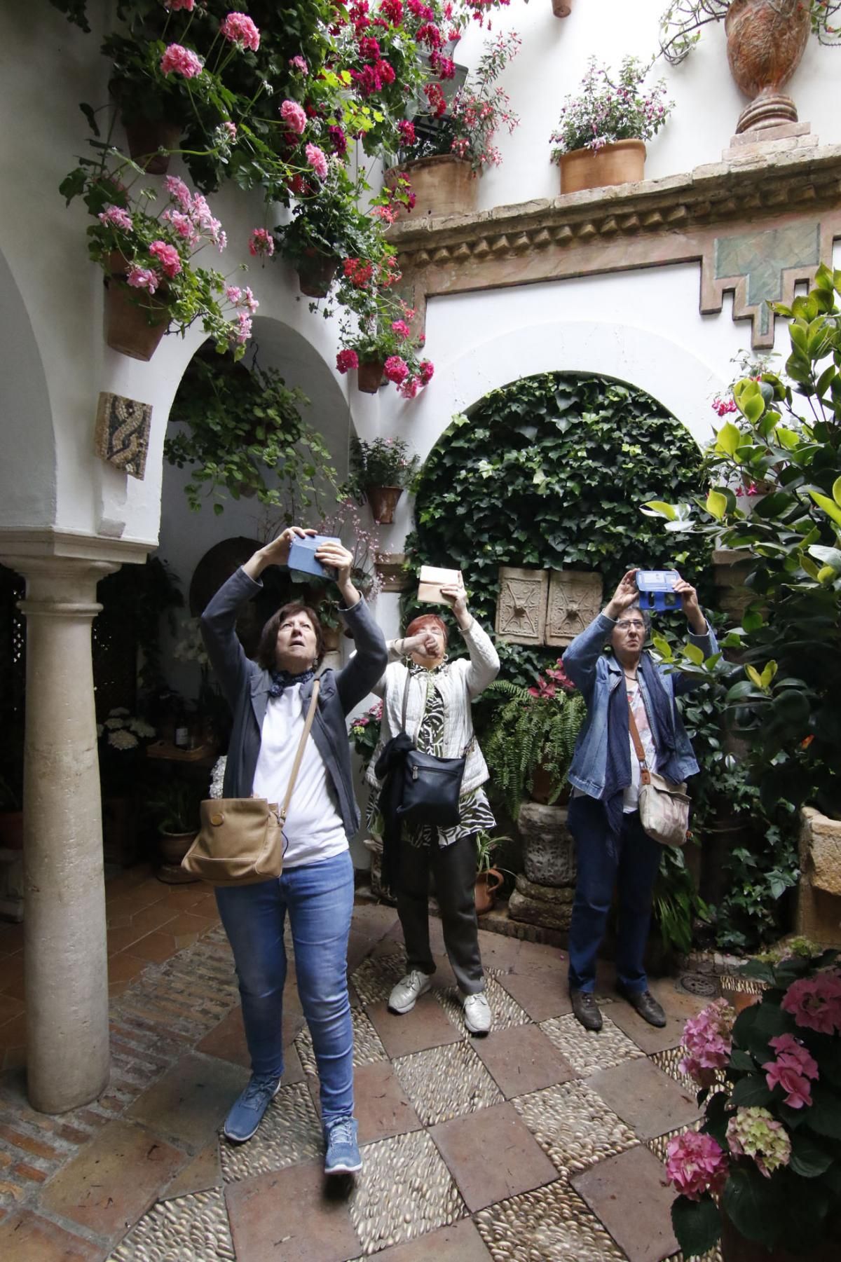 Paseando por el Alcázar Viejo