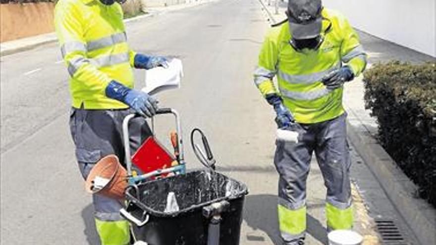 Más de diez municipios de la costa, en alto riesgo por el mosquito tigre