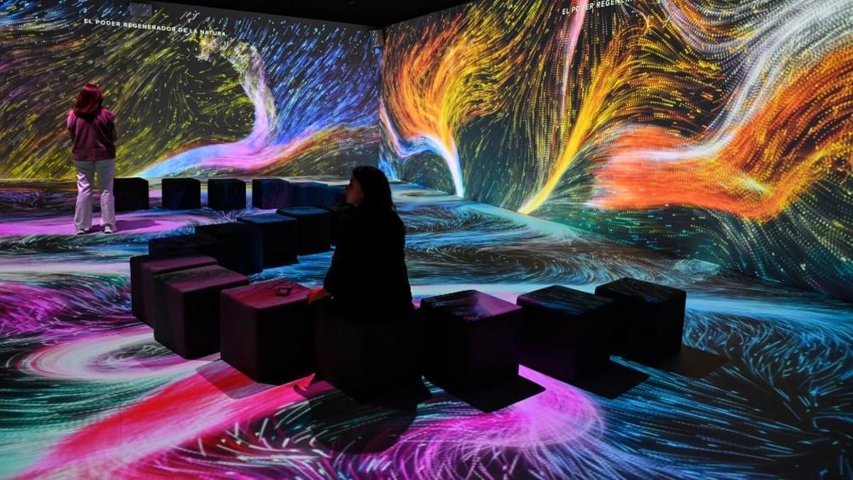 Efectos de luces y proyecciones en 'Somos Naturaleza'.