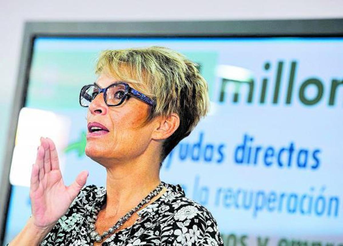 Elena Máñez, consejera de Economía, en la presentación del decreto regulador de las ayudas directas a empresas. | | ACFI PRESS