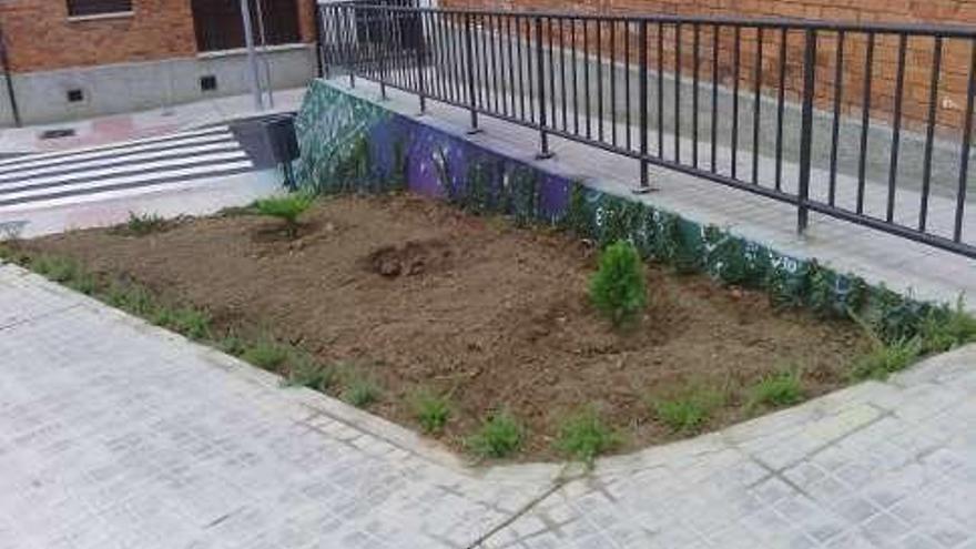 Una de las zonas verdes donde se han robado plantas.