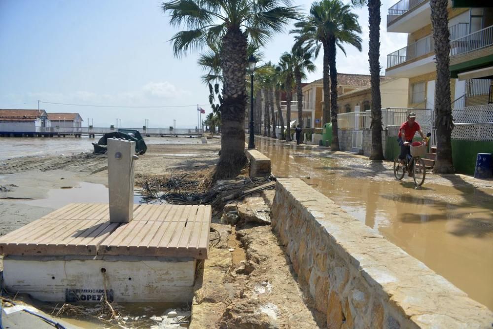 Lunes de limpieza en Los Alcázares y Los Urrutias