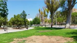 Oportunidad de empleo en Sagunt: El ayuntamiento busca gestores para una céntrica cafetería