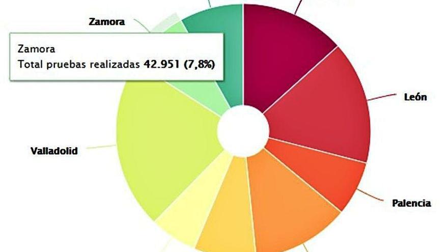 Test de coronavirus realizados en Zamora y la comunidad.