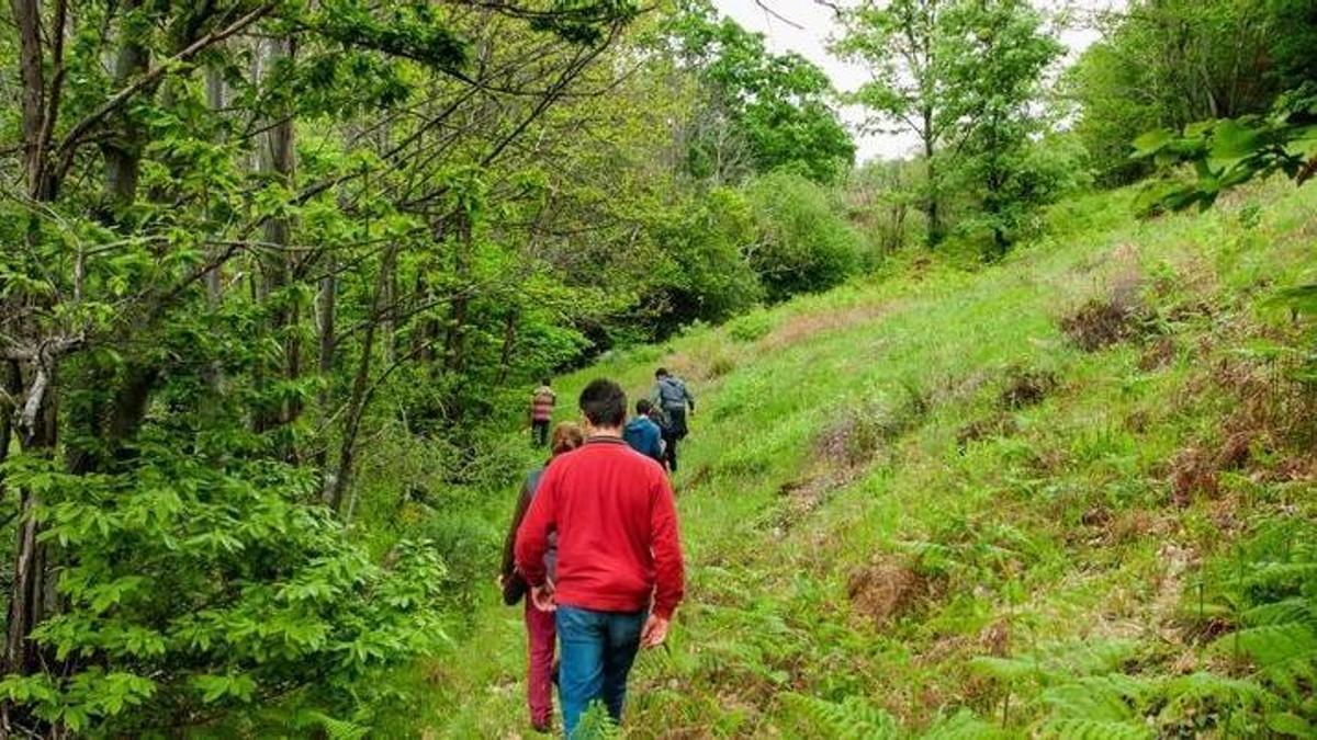 Imagen de un grupo de personas haciendo una ruta senderista por la Sierra de Gata.