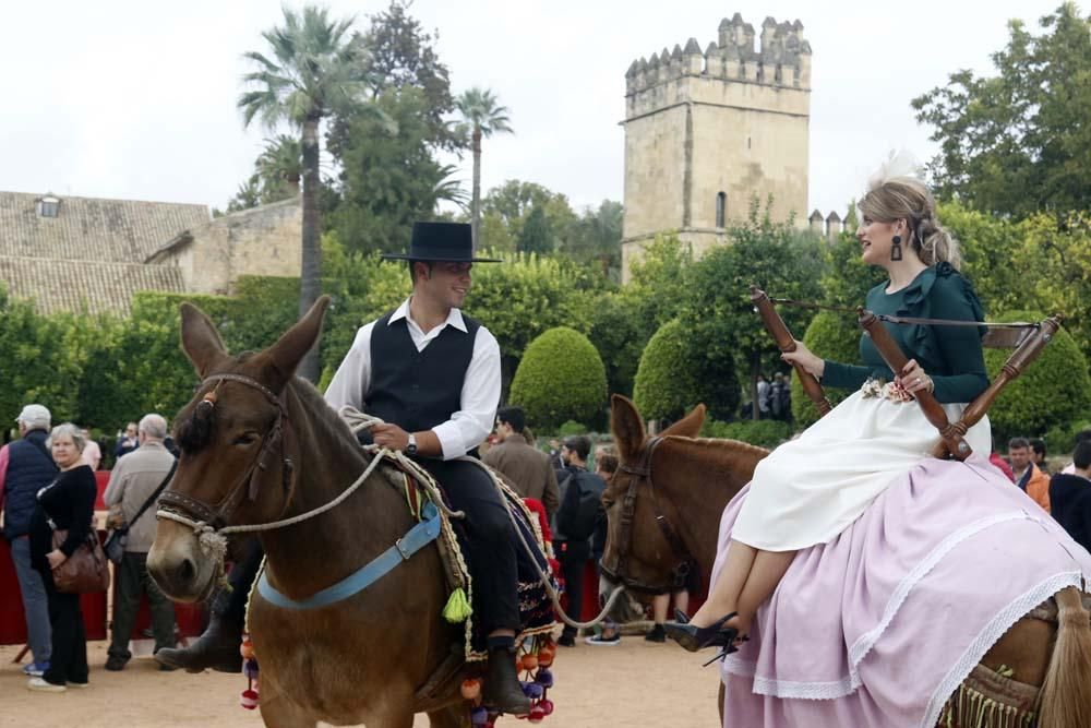 El caballo y su oficios en el Alcázar