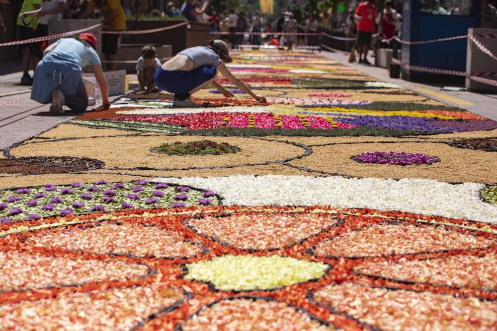 El concurs de catifes de flors naturals omple Arbúcies