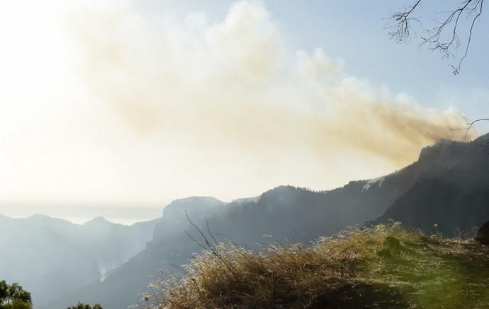 10-08-2019 ARTENARA. Incendio en la cumbre de Gran Canaria  | 10/08/2019 | Fotógrafo: Andrés Cruz