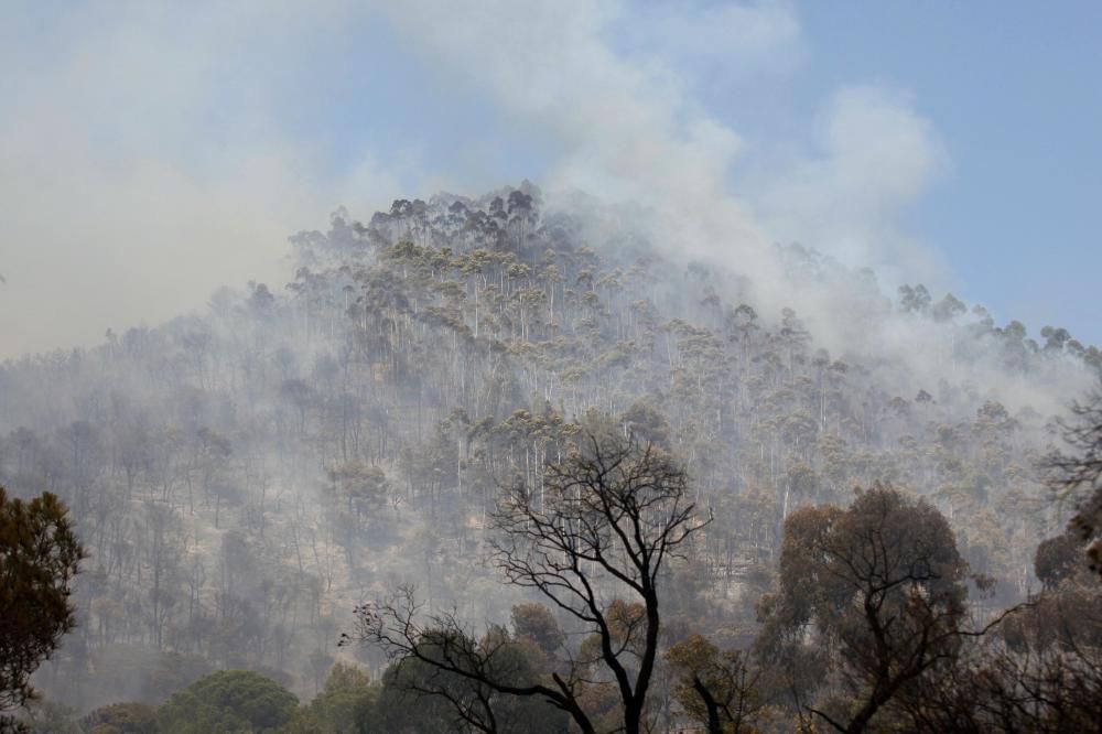 Incendi forestal a Blanes