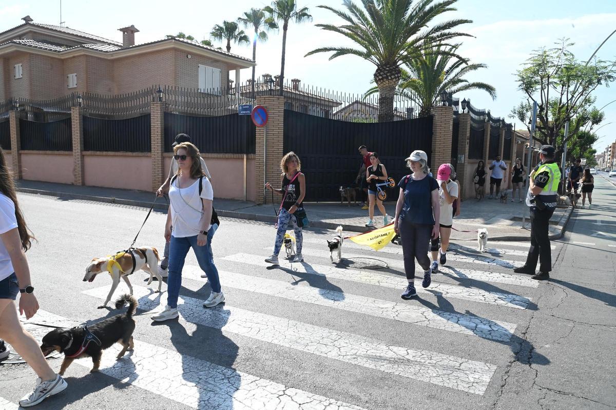 La marcha canina benéfica de Vila-real, en imágenes