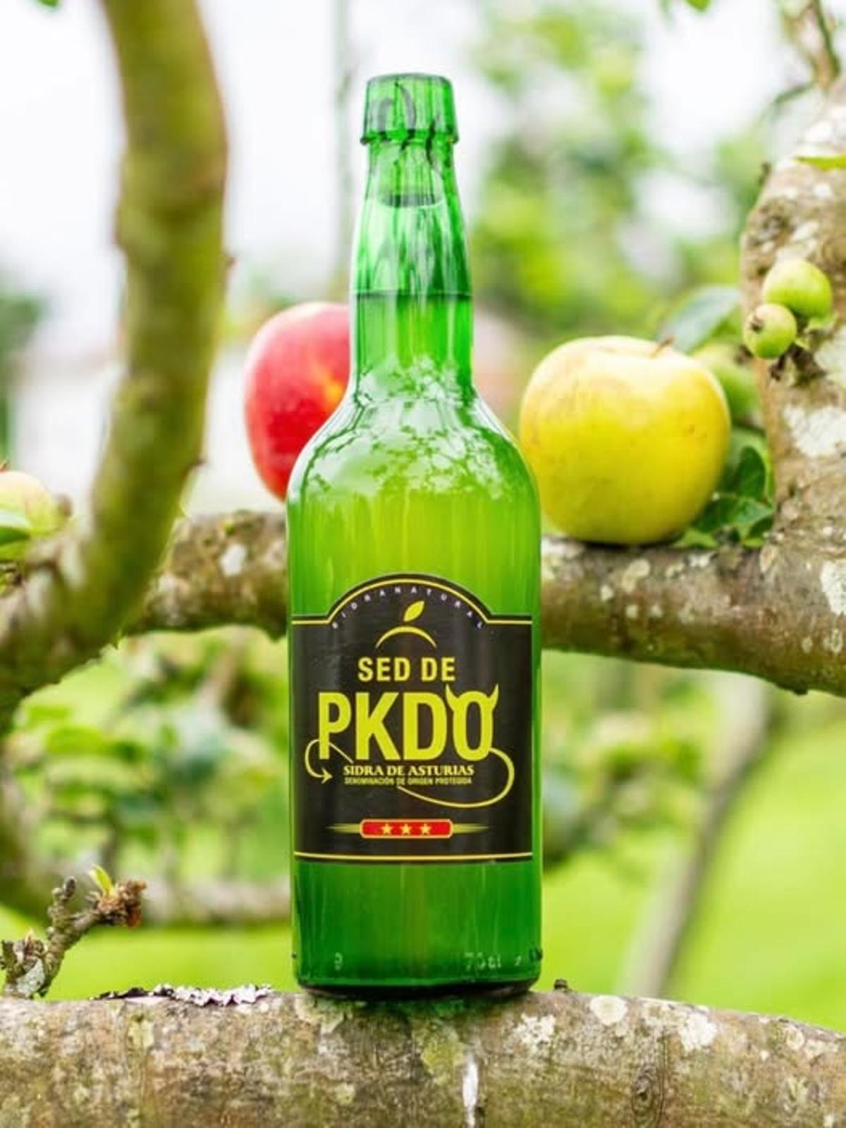 Sidra Sed de PKDO