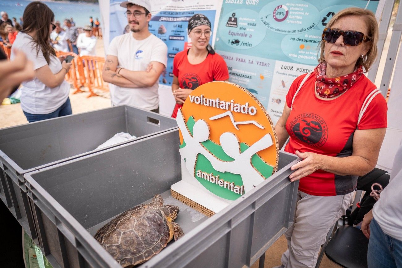 La reina Sofía asiste en Tenerife a una suelta de tortugas marinas recuperadas de lesiones