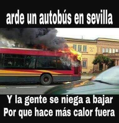 La fuerte ola de calor se hace meme en las redes