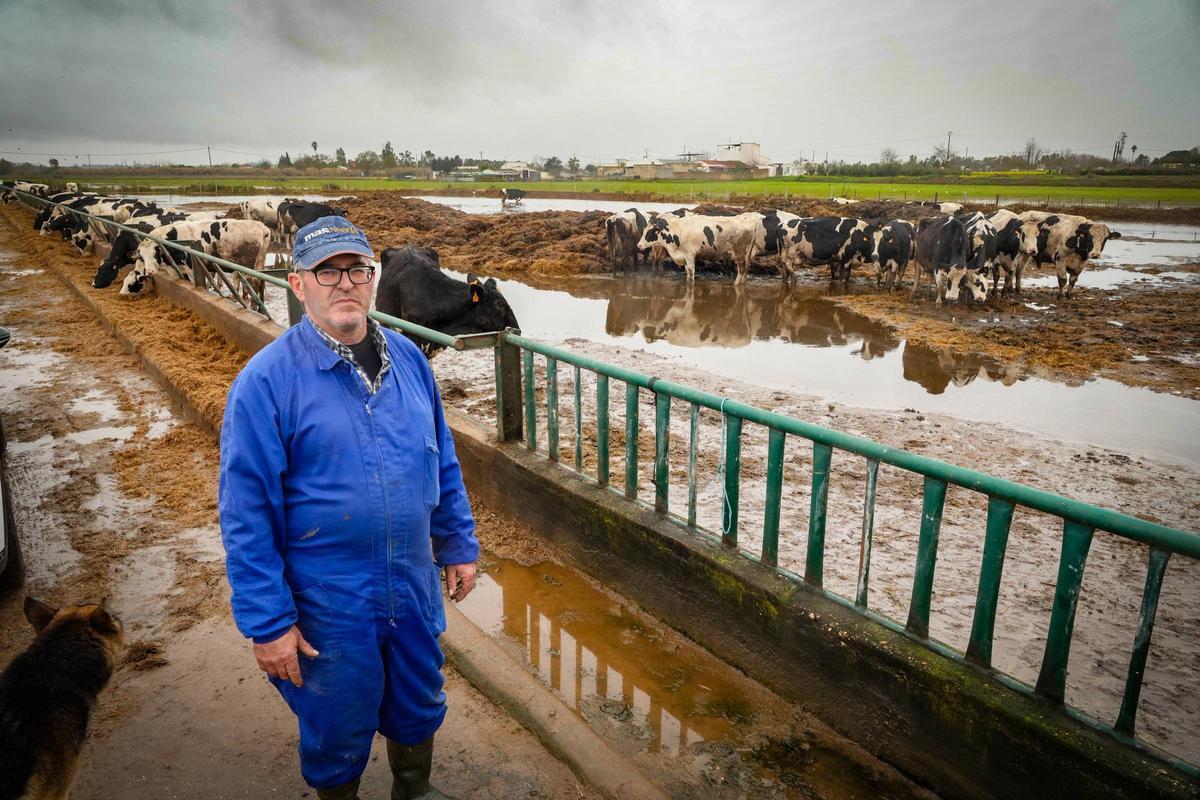 Basilio junto a parte de su ganado.