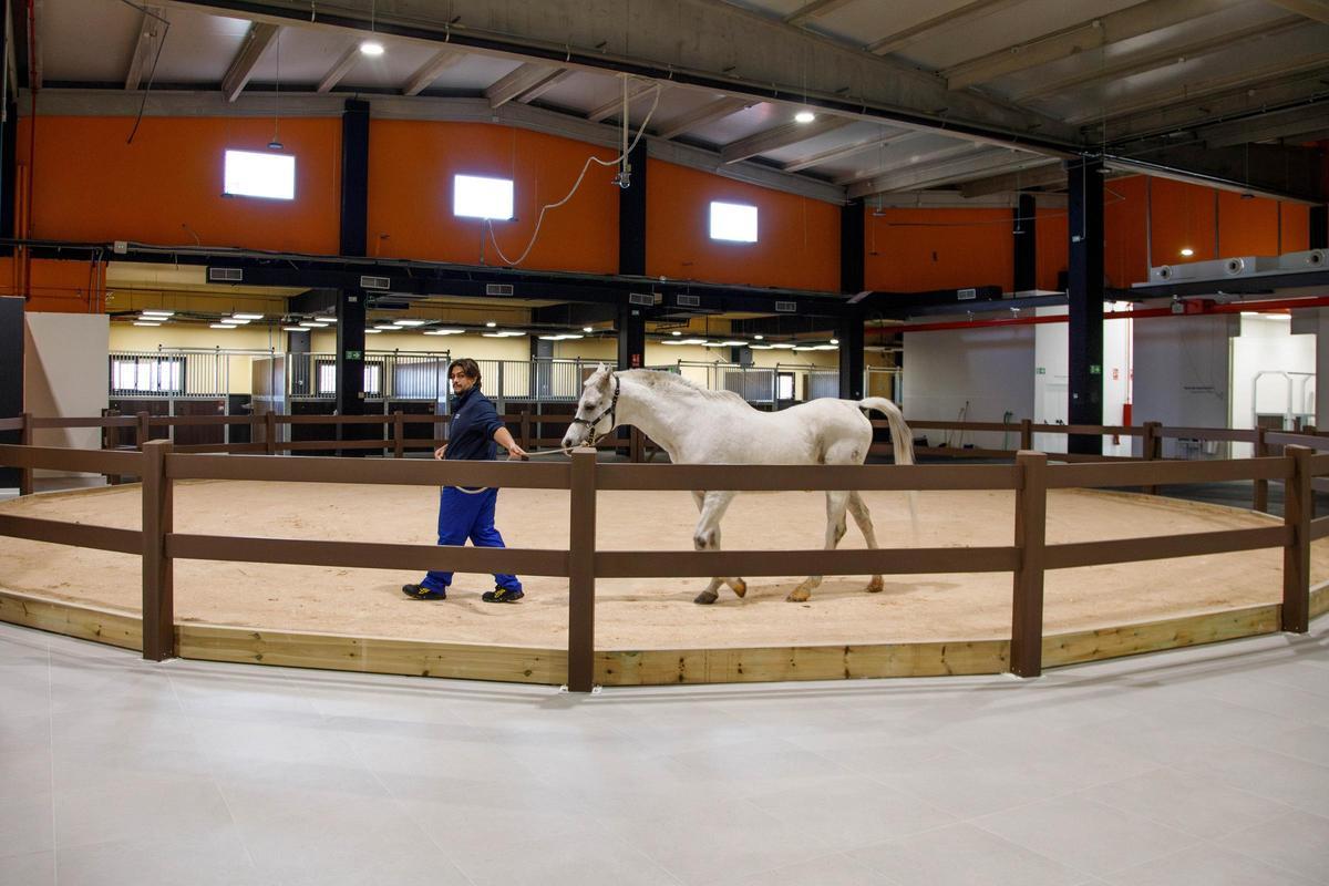 Pista de suelo blando para diagnóstico de cojeras; al fondo, boxes de hospitalización equina.