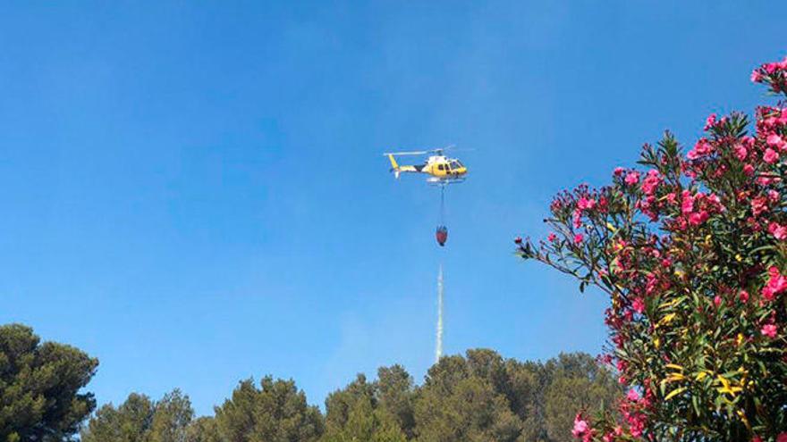 Incendio forestal en El Toro