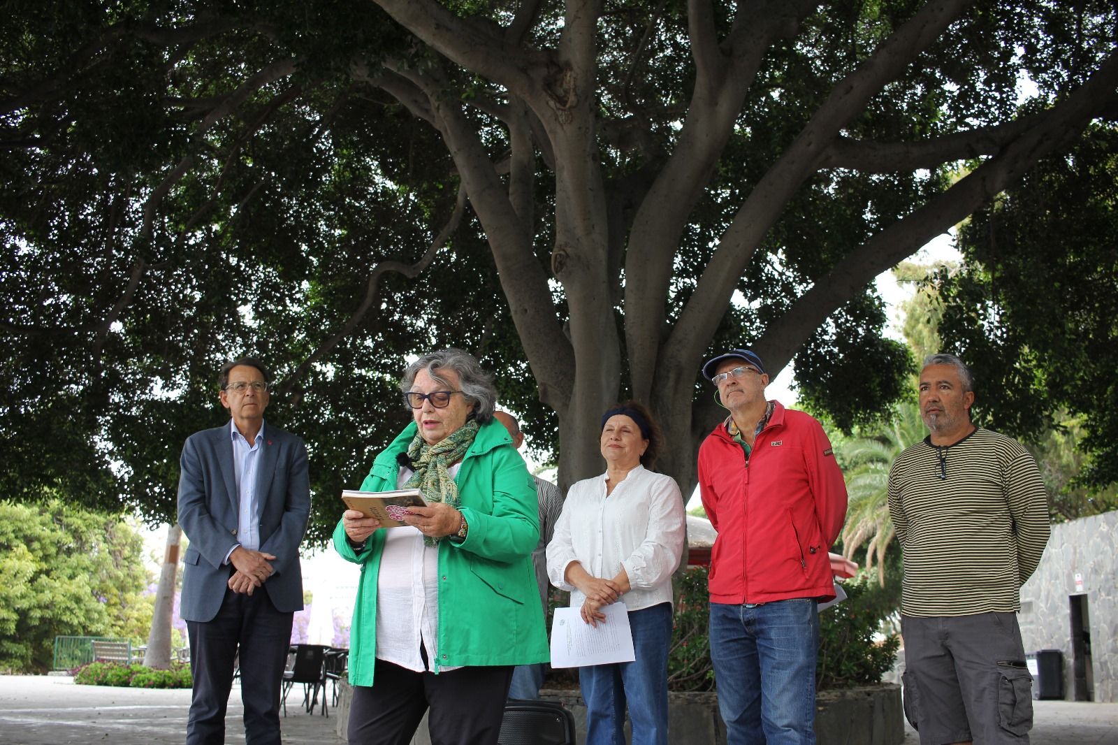 La Mesa del Árbol Urbano de Gran Canaria lanza un manifiesto para una gestión sostenible del arbolado urbano
