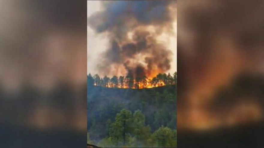 Estabilizado el incendio que afecta a la isla de La Palma