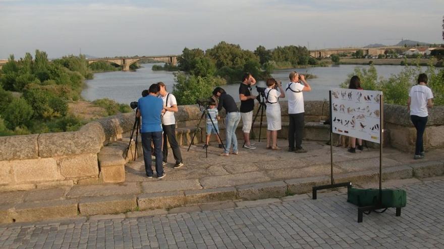 Actividad de observación de aves en el río Guadiana.