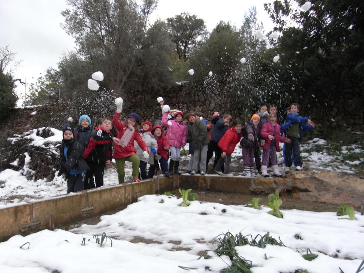 Se cumplen 14 años de la gran nevada en Mallorca de febrero de 2012, la segunda más importante de la historia