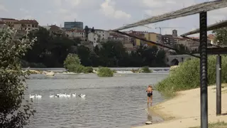 Riesgo alto para la salud en Zamora por la ola de calor