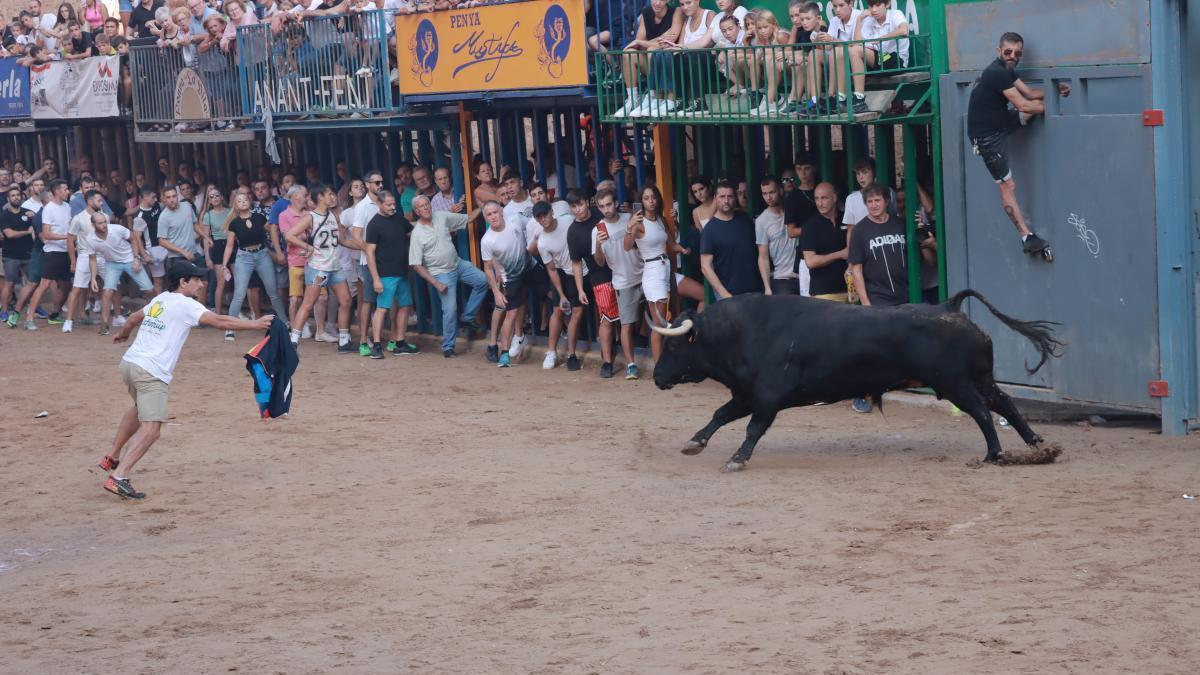 El toro de la ganadería de Voltalegre tenía presencia y estuvo bien presentado.