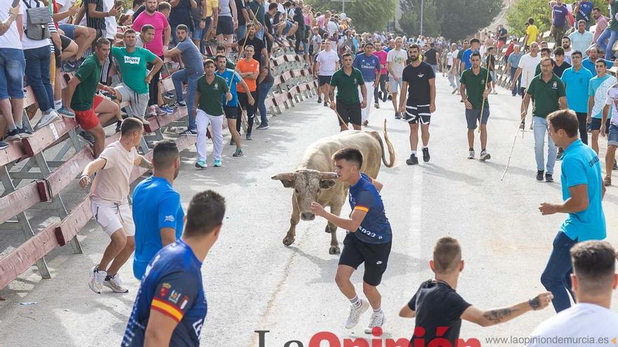 Segundo encierro de la Feria Taurina del Arroz en Calasparra